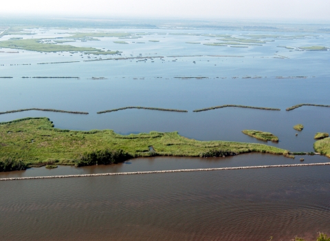 Louisiana Coastal Restoration