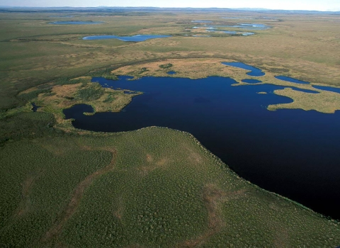 Aerial view of Selawik National Wildlife Refuge Wetlands