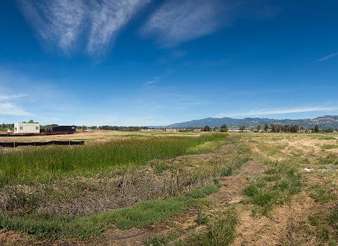 A panorama view of a wide open field