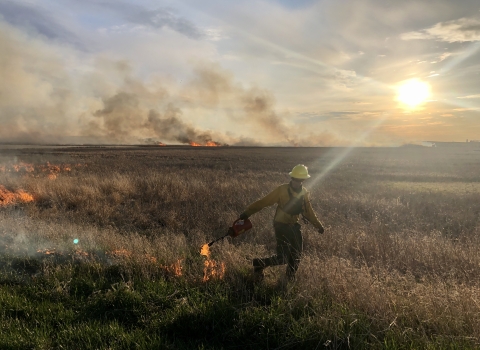 Wildland firefighter applies fire to prairie with a distant burn behind them with sun shining