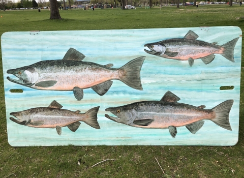 salmon art on a wooden panel