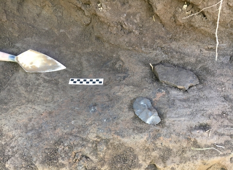A trowel is set next to a black and white strip that shows scale, next to two stone tools just exposed in the earth.