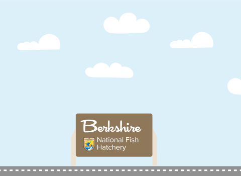 A graphic featuring a light blue sky with puffy clouds. At the bottom of the graphic, a fish drives a car along a road toward a sign that reads "Berkshire National Fish Hatchery"