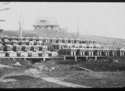 Black and white image of large wodden boxes on the side of a hill