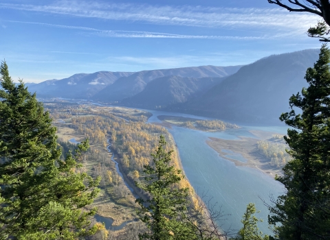 Elevated view of Columbia Gorge, with the river and mountains in the distance, seen between foreground evergreens.
