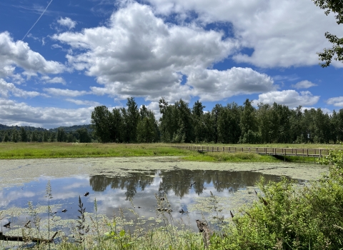 Spring at Steigerwald Lake National Wildlife Refuge