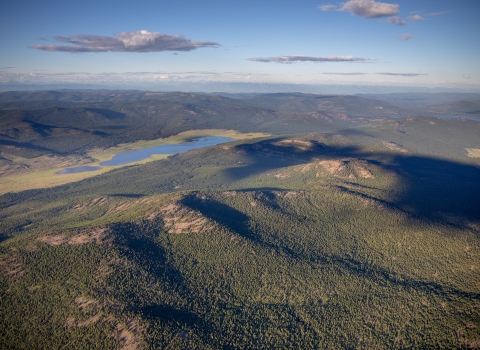 aerial view of forested area, water