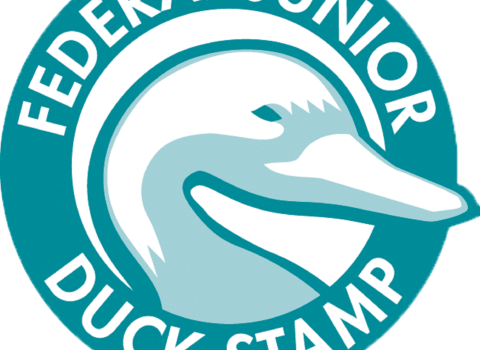 Federal Junior Duck Stamp Contest Logo