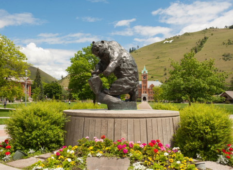 A silver statue of a grizzly bear surrounded by flowers with buildings and a green hill in the distance