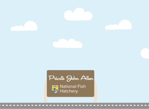 A graphic featuring a light blue sky with puffy clouds. At the bottom of the graphic, a fish drives a car along a road toward a sign that reads "Private John Allen National Fish Hatchery"