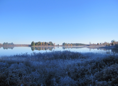 Frosted grasses in the foreground of a waterbody.