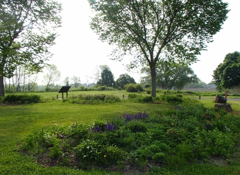 a vibrant green park with planted vegetation and trees scattered about