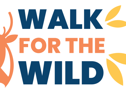 Logo that reads "Walk For The Wild" with a graphic that outlines the heads of a bear, alligator, fish, hummingbird and cervid