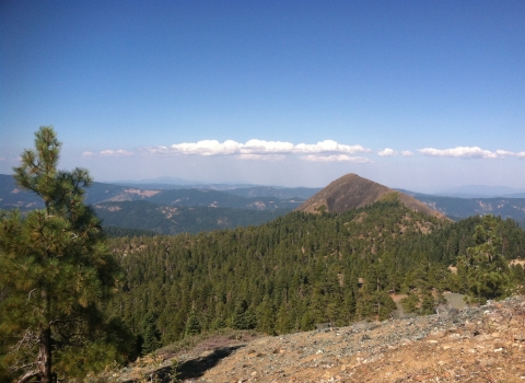 Landscape view of mountains covered in pine trees and below blue skies