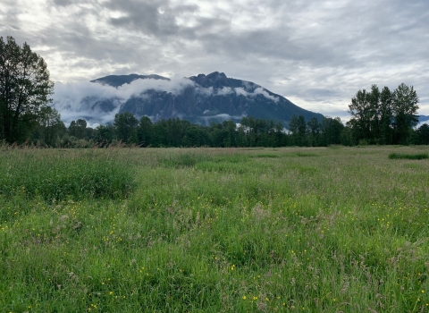 Picture of Mt. Si with clouds and prairie