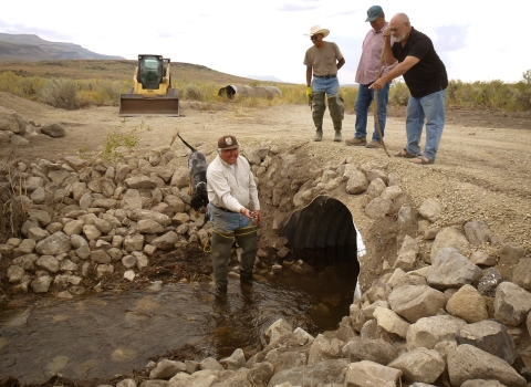 Man standing in a small stream next to a culvert.