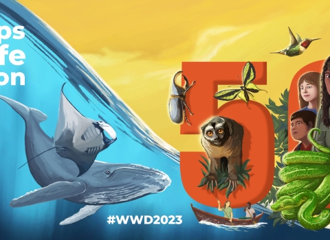 Colorful art showing a whale and manta ray underwater, then a tiger, bird, snake, youth, and the number fifty in front of a yellow sunny sky. Text reads Partnerships for Wildlife Conservation. World Wildlife Day 3 March. #WWD2023