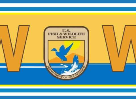 A blue background with a logo centered in the middle. The logo reads WoW - but the 'o' is replaced by the USFWS logo. WoW stands for Women of Wildlife.