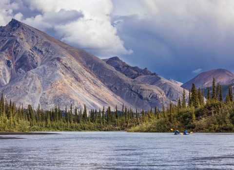 Paddlers navigate a stretch of river with firs along the banks and purple mountains rising behind them.