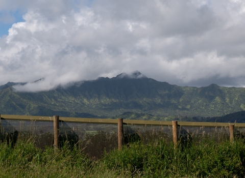 A tall fence cuts across a lush green landscape. There is a green mountain in the background with fluffy white clouds on it.