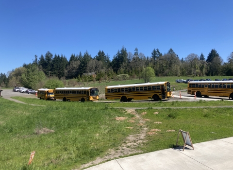 Four buses are parked in a row in a parking lot next to a grassy field.