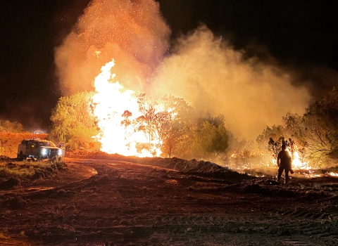 A fire burns in the night. There is a firefighter standing to the right of the burn.