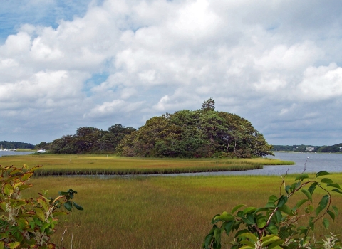 Green-yellow marshes in the foreground lead to a tree-covered island, with a small pier.