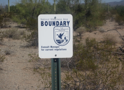 National Wilderness Area Sign with USFWS logo with Sonoran Desert plants behind