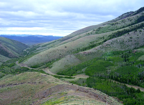 Image of a mountain canyon dotted with sagebrush, pine trees and aspen.