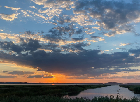 a cloudy sky with a vibrant orange sunset over a vast marsh