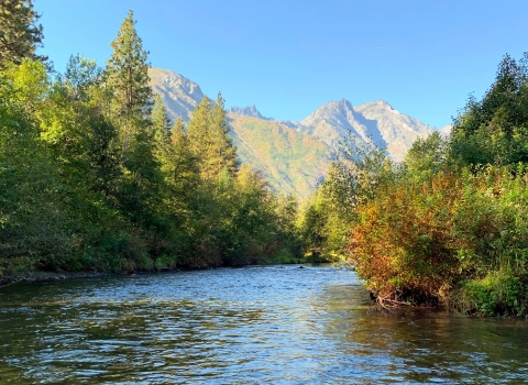 A calm river with trees on both sides and a mountain and blue skies in the distance.