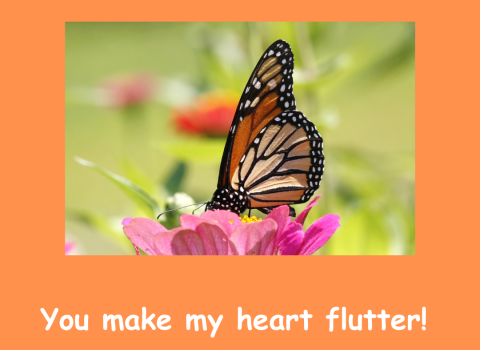 Graphic of an orange Valentine’s Day card with an image of a monarch butterfly perched on a flower. Text below that reads “you make my heart flutter!” A space for “to and from.” Graphic of the U.S. Fish and Wildlife Service logo on the bottom right corner. 