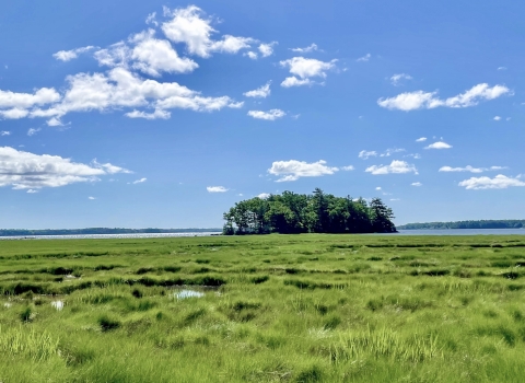 New England tidal marsh on a sunny day along the coast