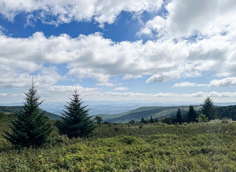 Rolling mountains with conifer trees and a partly cloudy sky