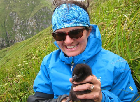 Biologist Heather Renner holds a puffin chick with both hands on the side of a steep slop with green vegetation and a hilltop in the background.