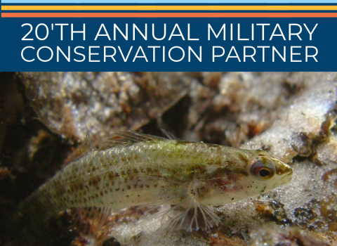 A small fish on a rocky stream bed. Text on image reads Eglin Air Force Base. 20th Annual Military Conservation Partner