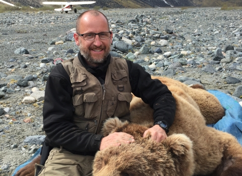 A biologist sits next to a sedated brown bear on a gravel plain in the mountains.