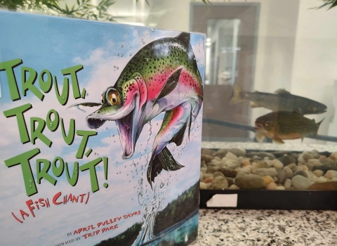 Trout children's book displayed in front of tank
