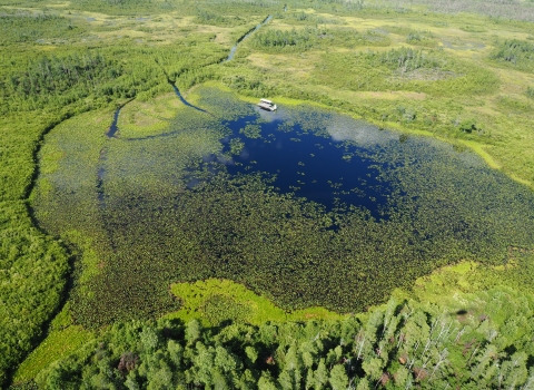 An aerial view of a water trail on the Okefenokee Swamp National Wildlife Refuge.