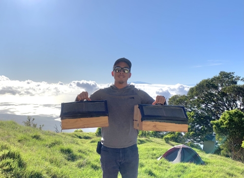 Koa holds boxes containing kiwiku (Maui parrotbill). 