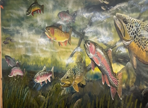 Norfork National Fish Hatchery Mural