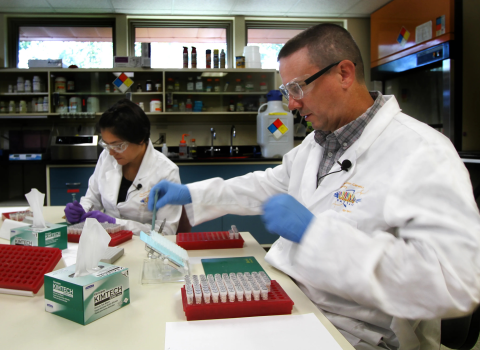 Two genetics laboratory staff in laboratory coats work on samples with shelves in the back and windows near across the back wall near the top of the ceiling. 