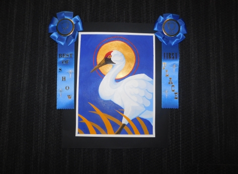 Wild Things Youth Art Contest