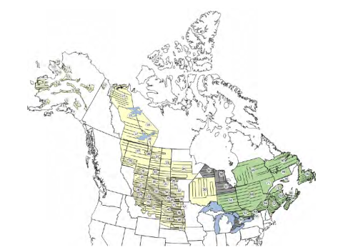 Waterfowl Breeding Population and Habitat Survey Map