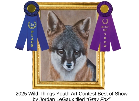 2025 Wild Things Youth Art Contest Best of Show 