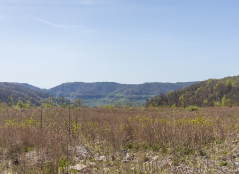 a landscape view of a grass field with mountains in the background under a clear blue sky