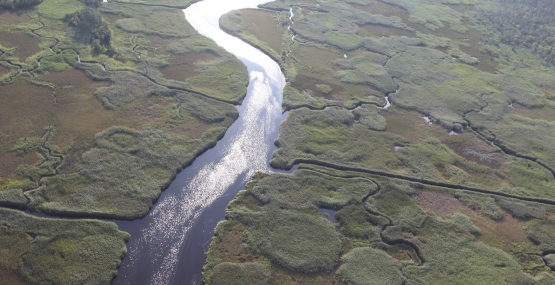 an aerial view of a river flowing through a wetland