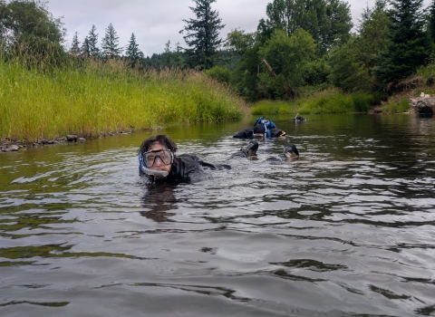 AmeriCorps Service Member snorkeling in a stream. Water in the foreground. Water, vegetation, and overcast sky in the background.